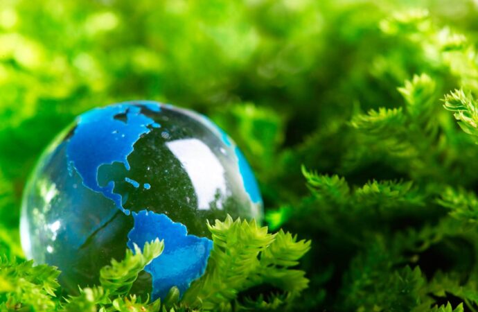 ISO-14001-Certified-hawaii ISO-14001-Certified-hawaii